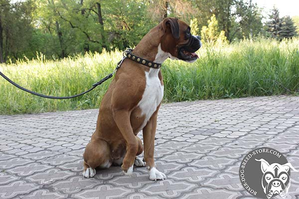 Narrow Boxer collar of leather