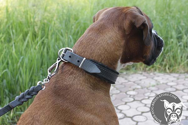 Soft padded leather collar for Boxer