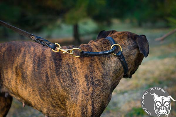 Rolled leather Boxer collar with brass O-rings