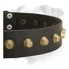 Super durable leather collar