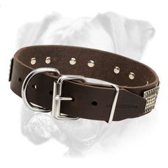 Rust proof fittings for Boxer leather collar