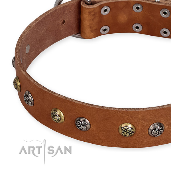 Genuine leather dog collar with amazing rust resistant decorations