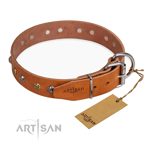 Leather dog collar with incredible durable decorations