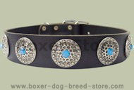 Leather Designer dog collar for BOXER