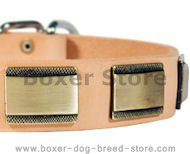 Designer Dog Collar for Boxer-Leather Custom Collar