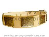Handcrafted Leather Dog Collar With Vintage Massive Plates