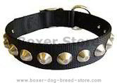 Gorgeous Wide Nylon Dog Collar With Nickle Pyramids