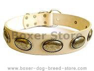 Retro Rulz - Gorgeous Vintage Dog Leather Collar - C103- Boxer