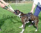 Dog Training Equipment Dog supplies,dog training harnesse,dog training collar,leather dog leashes