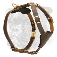 Deluxe leather classic harness for Boxer puppy