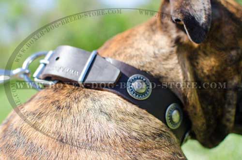 Super durable leather collar