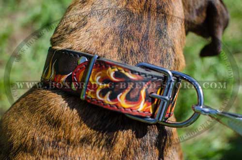 We offer you the highest quality collar