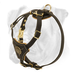 Non-toxic leather harness