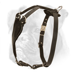 Best leather harness for agitation training