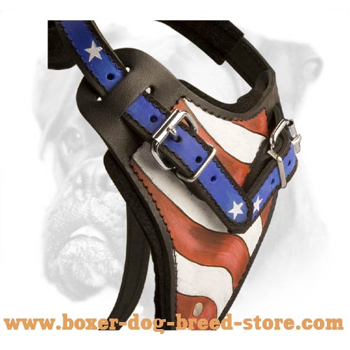 Hand painted harness for Boxer breed