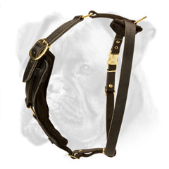 Soft and comfortable leather harness