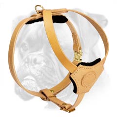 Non-toxic natural harness for Boxer puppy