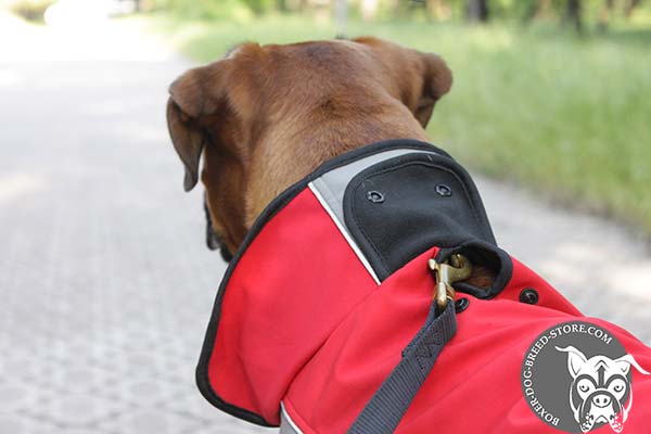 Nylon Boxer coat with hole for leash attachment