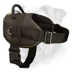 Excellent fit due to adjustable front strap