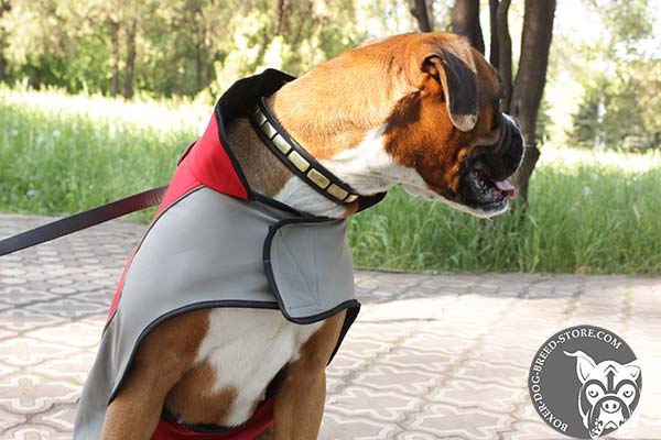 Boxer nylon coat hardwearing with Velcro for walking