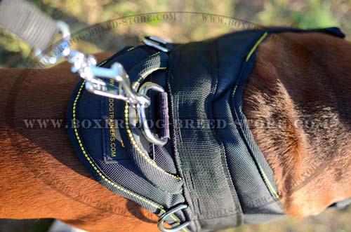 Boxer Harness suitable for long wearing