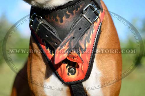 Easy-to-wear leather harness