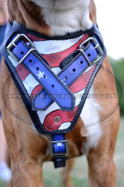 Wide soft padded chest plate for American Pride leather Boxer harness