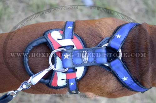 Handpainted leather Boxer harness with strong handle and D-ring