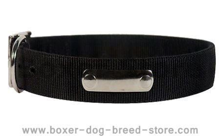BUY 2 Ply Nylon Dog Collar w/h name tag/Metal Buckle