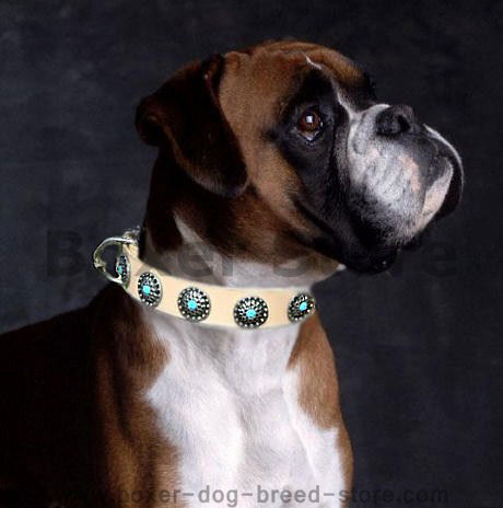 Boxer Leather Dog Collar with Silver Plated Circles Blue Stones - Click Image to Close