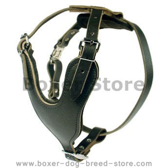 Heavy Duty Dog Harness for Boxer