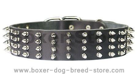 2 inch wide Leather Spiked Dog Collar for Boxer