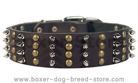 Boxer Spike Studded Dog Collar/2 inch wide Leather Studs collar