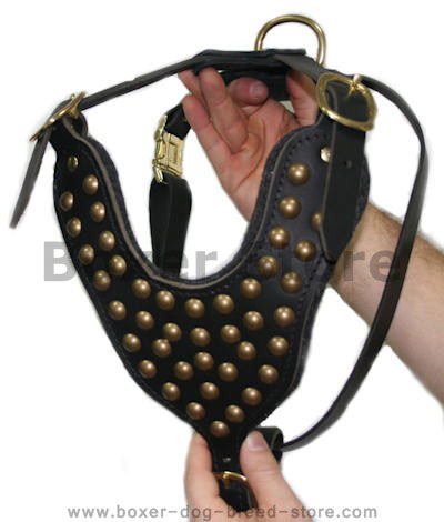 handmade leather dog harness for Boxer