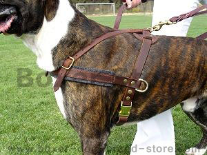 Pulling-Agitation-Tracking Leather Dog Harness For Boxer - Click Image to Close
