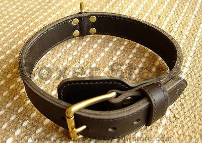Two ply leather agitation dog collar- no handle for Boxer