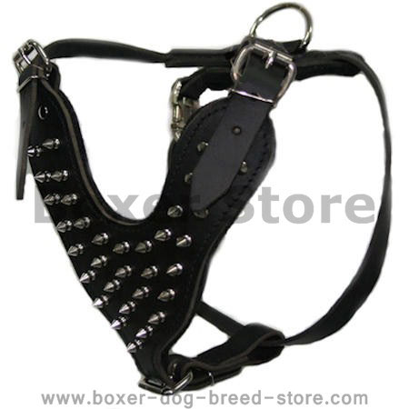 Spiked leather dog harness for Boxer - leather spiked harness - Click Image to Close