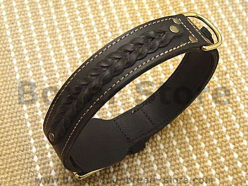 Gorgeous Wide 2 Ply Leather Dog Collar for Boxer