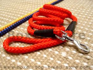 Cord nylon dog leash for Boxer dog