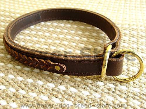 Gorgeous Wide 2 Ply Leather Choke Dog Collar - Fashion Exclusive for Boxer