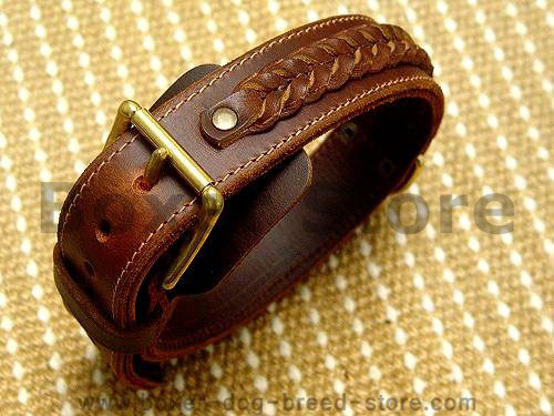 Handcrafted Leather Dog Collar Boxer dog