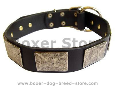 Handcrafted Leather Dog Collar With Vintage Massive Plates for Boxer