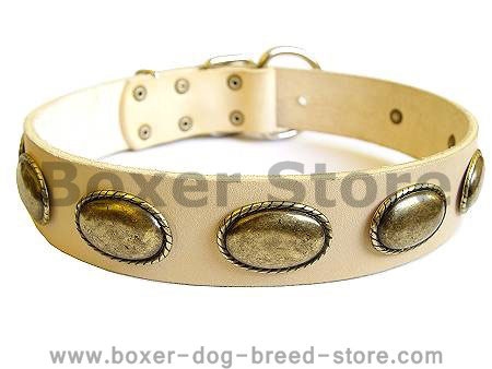 Retro Rulz - Gorgeous Vintage Dog Leather Collar  for Boxer