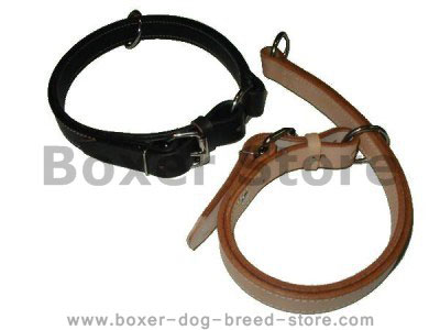 Leather choce dog collar for Boxer