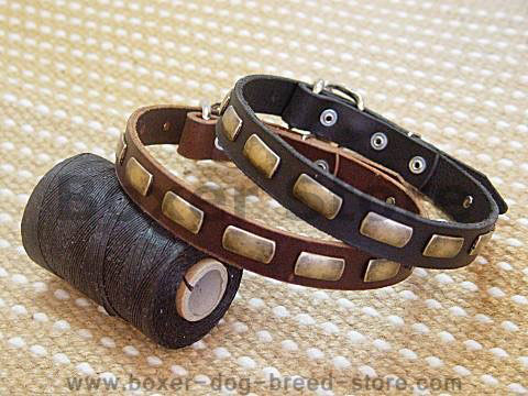 Leather Special Dog Collar With Plates for Boxer dog