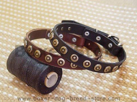 Gorgeous Wide Leather Dog Collar With Doted Circles for Boxer