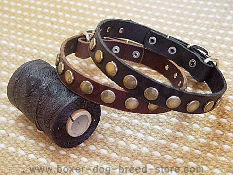 Leather special dog collar with circle for Boxer dog