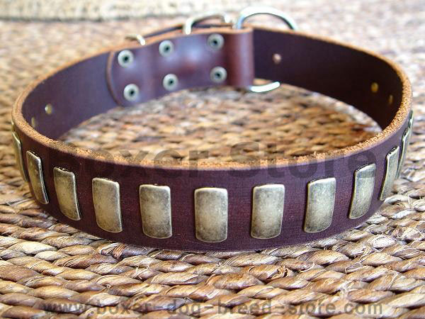Gorgeous Wide Leather Dog Collar With Plates  for boxer