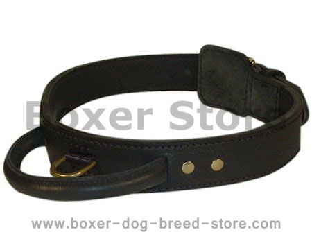 leather dog collar with handle