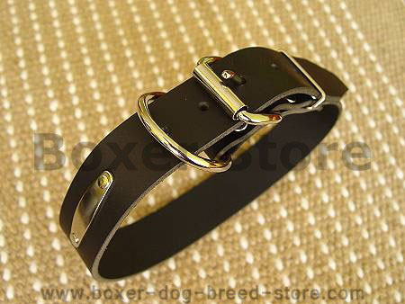 Leather dog collar with id tag for Boxer dog